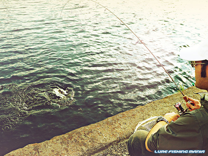 掛ければパワフルな引き心地!あの手この手でスイッチを探し回ります