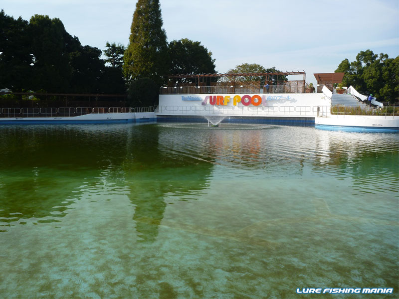 この時間帯のミシガンエリアは、魚影がほとんどありませんでした