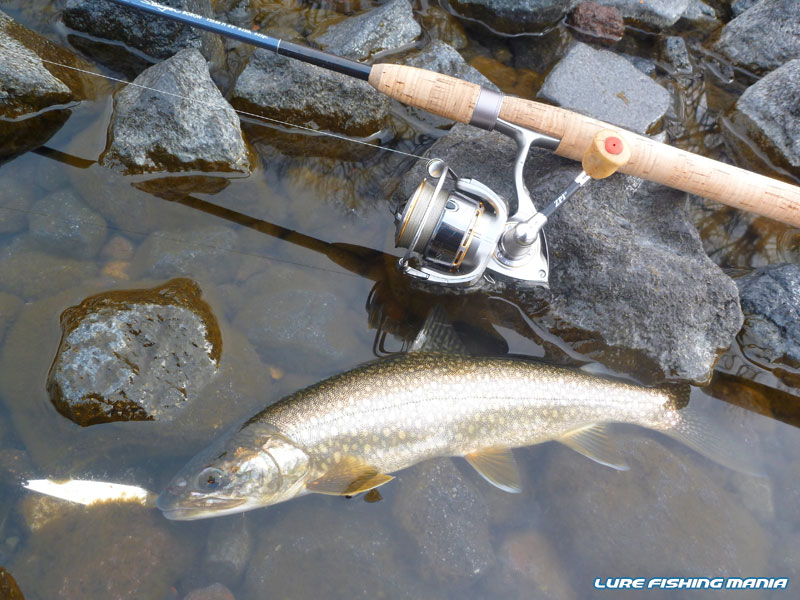 若干サイズアップするも、イマイチなサイズ