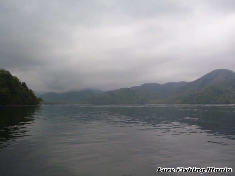 見慣れない新鮮な山側風景