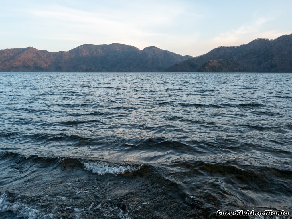 隣のアングラーに釣られタイムアップ